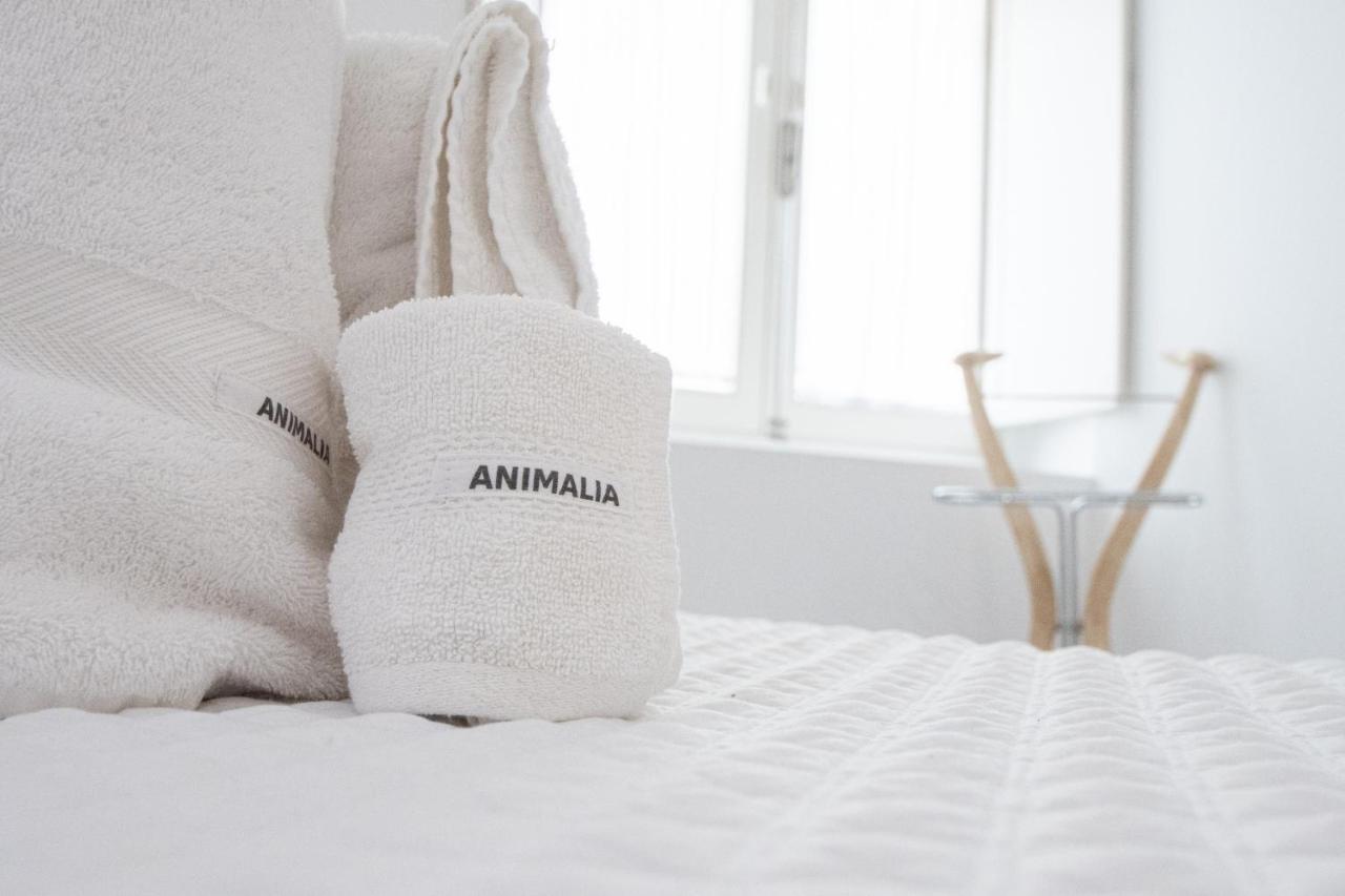 Apartamento Animalia 카디스 외부 사진